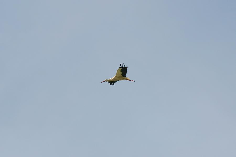 IMG_8881.JPG
