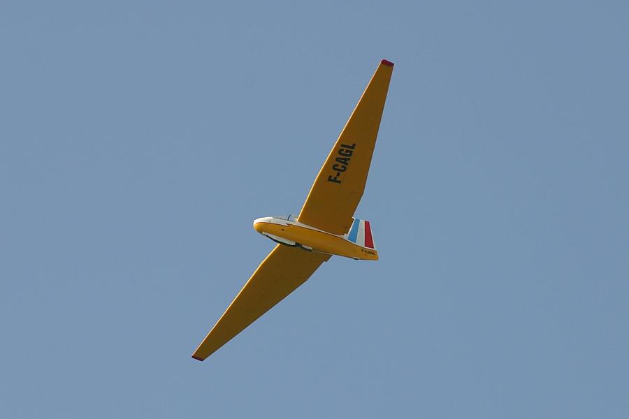 IMG_5939.jpg