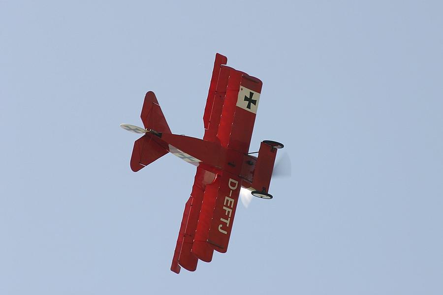 IMG_6031.jpg