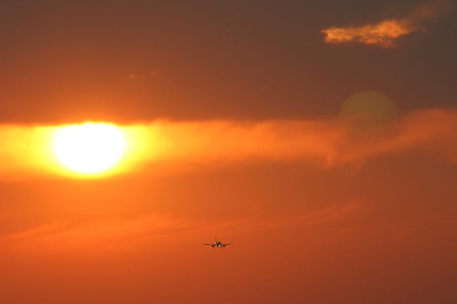 IMG_7235.jpg